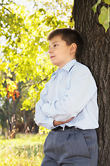 Image showing Confident boy at tree