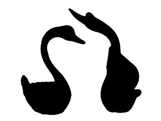 Image showing swan's silhouette