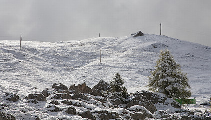 Image showing Morning snowfall