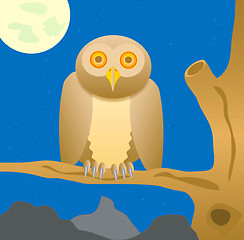 Image showing Owl sits on tree in the night
