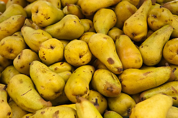 Image showing pears