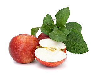 Image showing Red apples on white background