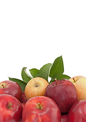 Image showing Variety of apples with leaves isolated