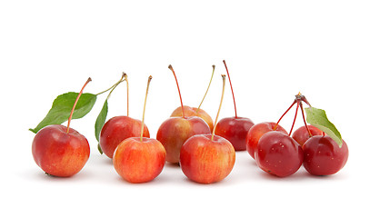 Image showing Chinese cherry apples on white background