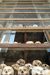 Image showing Countless Khmer Rouge victims at Choeung Ek, Cambodia