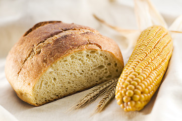 Image showing Corn bread