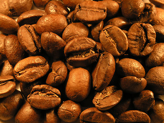 Image showing coffee beans