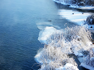 Image showing Wild ducks floating on the river (II)