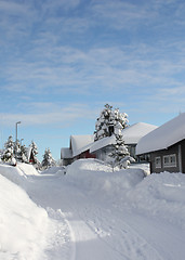 Image showing Winter road