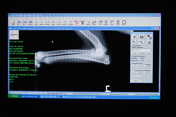 Image showing X-ray of a dog's leg