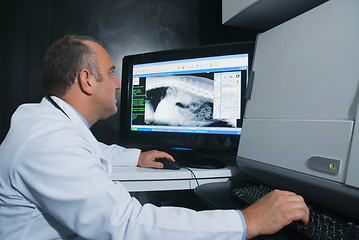 Image showing Doctor getting a dog's x-rays