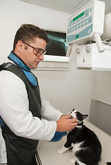 Image showing Doctor getting a dog's x-rays