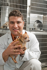 Image showing Veterinary taking care of pet