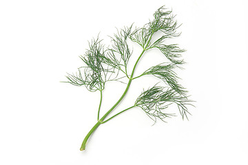 Image showing Healthy food. Dill