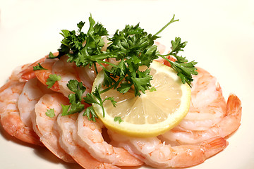 Image showing Shrimp Cocktail Over