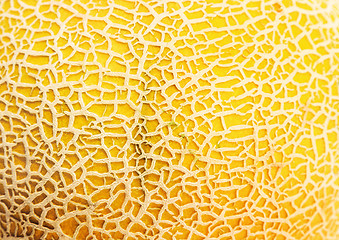 Image showing Melon texture