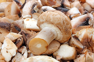 Image showing Fresh mushrooms