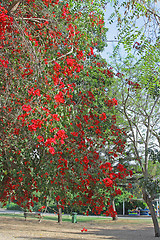 Image showing Spring landscape