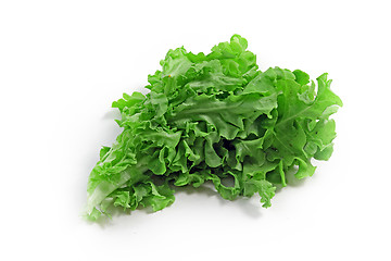 Image showing The green spinach 