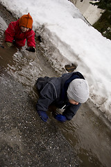 Image showing Crawling through the mud