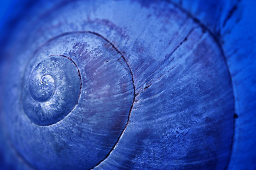 Image showing Blue shell