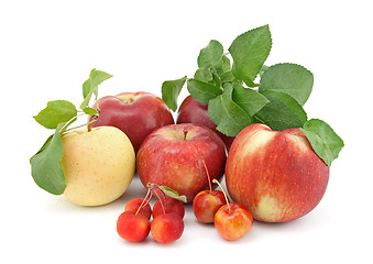 Image showing Variety of apples on white background