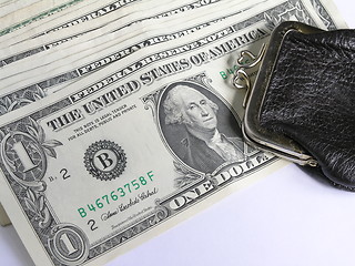 Image showing dollars and purse