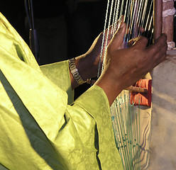 Image showing African musician