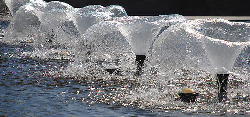 Image showing fountains