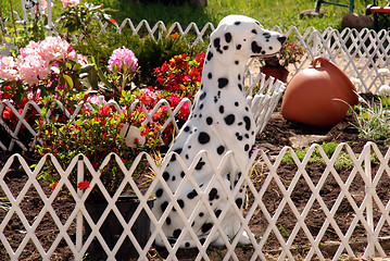 Image showing garden