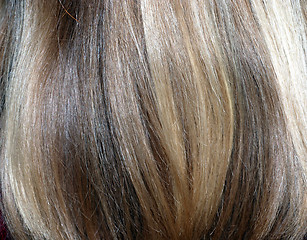 Image showing blonde hair