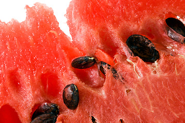 Image showing Water-melon