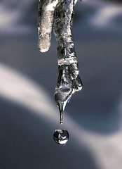 Image showing icicle