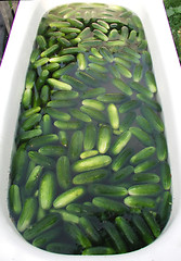 Image showing cucumbers