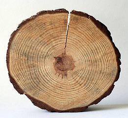 Image showing wooden circle