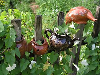 Image showing teapots 