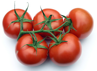 Image showing tomato