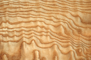 Image showing veneer sheet