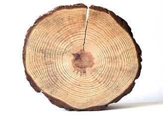 Image showing wooden circle