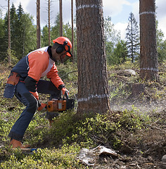 Image showing wood-cutter