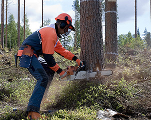 Image showing wood-cutter