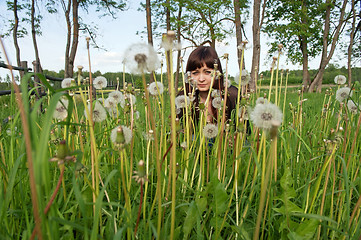 Image showing Beauty girl in meadow.