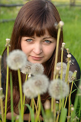 Image showing Portrait of beauty girl with dandelions.