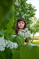 Image showing Beauty girl in lilac.