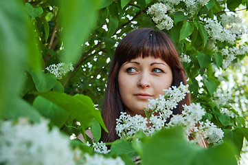 Image showing Beauty girl in lilac.