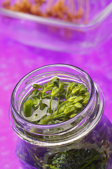 Image showing Broccoli in jar