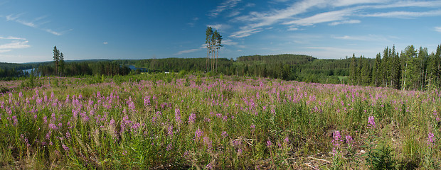 Image showing Nature ladscapa of Central Finland, Hankasalmi Municipality