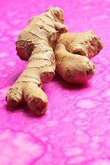 Image showing Ginger root