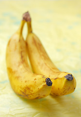 Image showing Two bananas