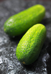 Image showing Two fresh cucumbers